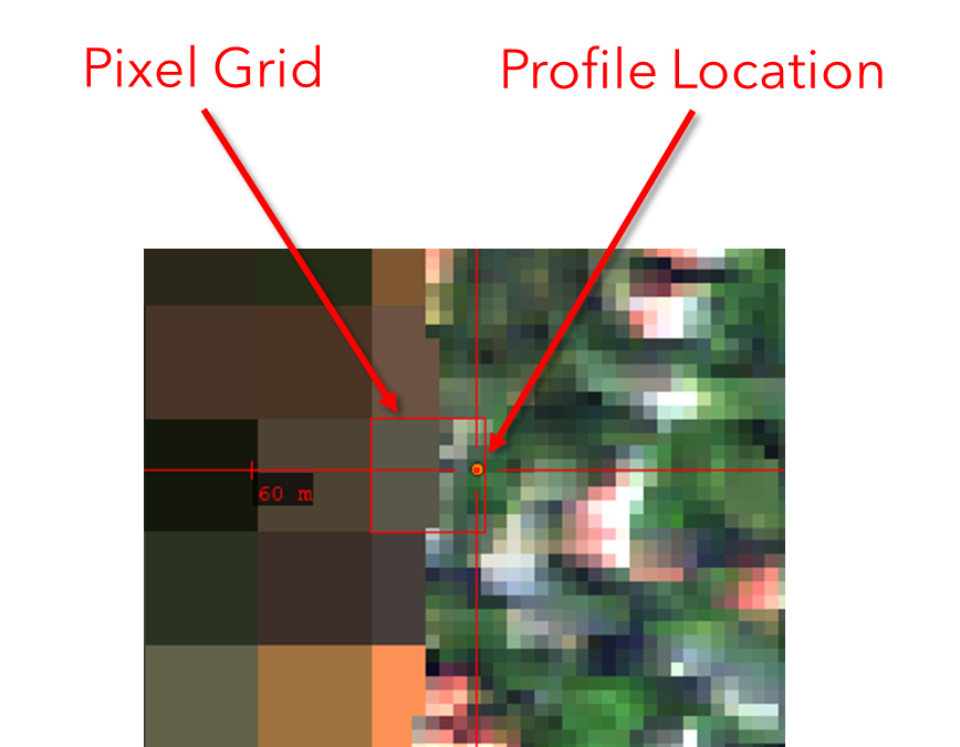 Crosshair Pixel Grid Canvas